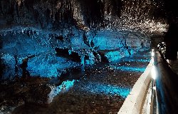 20240620_184459.jpg