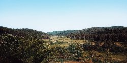20240622_184044.jpg