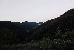 20240622_203117_1.jpg