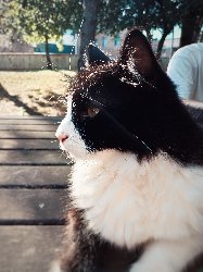 20240730_075933.jpg