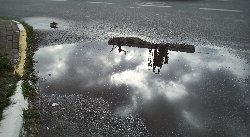 IMG_20231109_140417.jpg