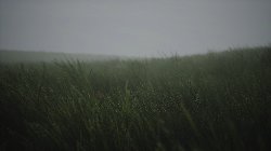 Screenshot-ingame-T00.00.03.217-F193.png