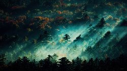 forestfog-01.png